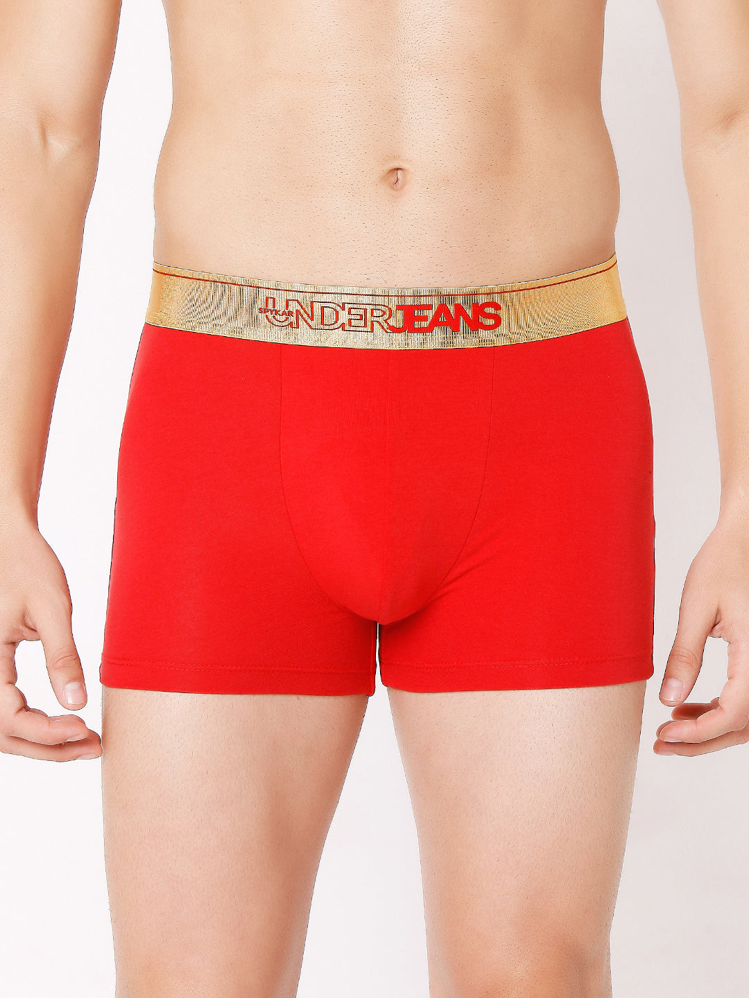 Underjeans by Spykar Men Premium Assorted Cotton Blend Brief (Pack of 2)