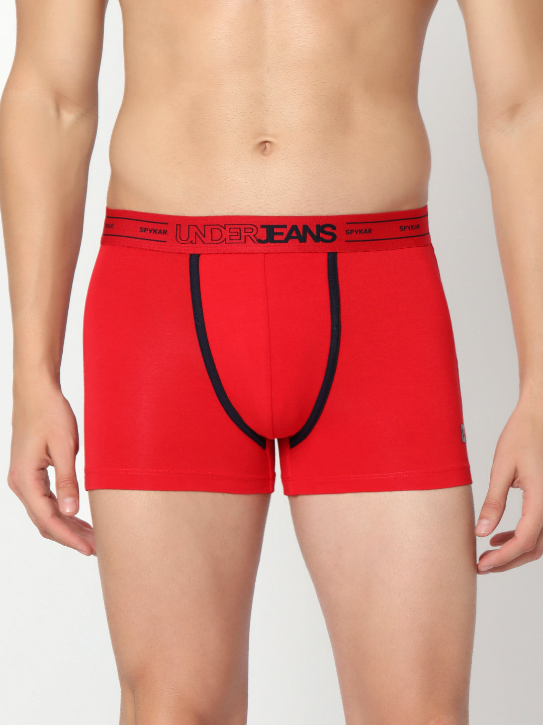 Underjeans by Spykar Men Premium Assorted Cotton Blend Brief (Pack of 2)