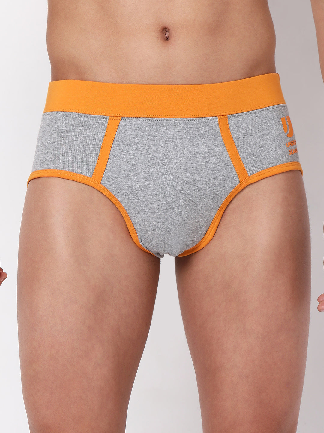 Underjeans by Spykar Men Premium Cotton Blend Grey Brief