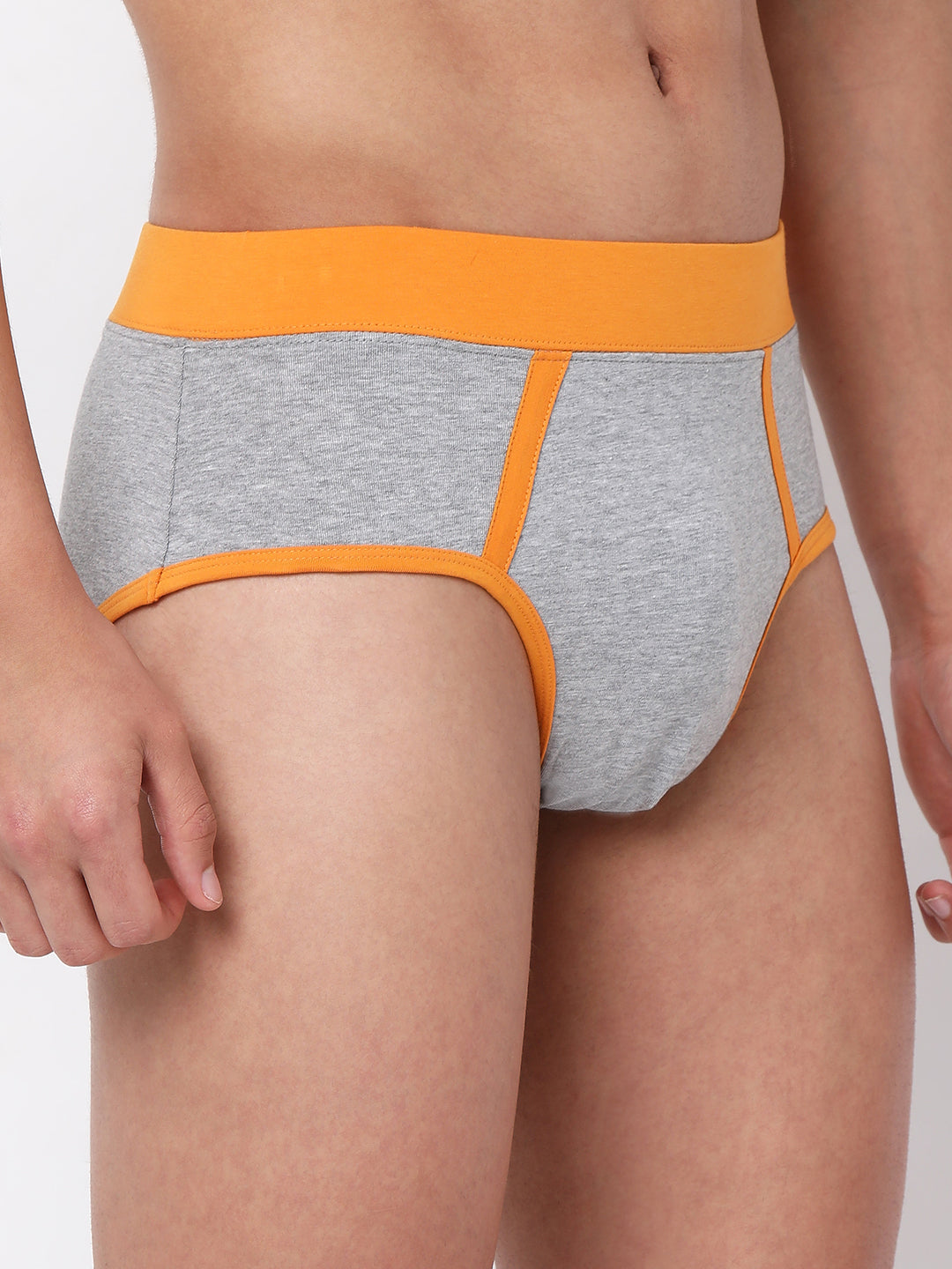 Underjeans by Spykar Men Premium Cotton Blend Grey Brief