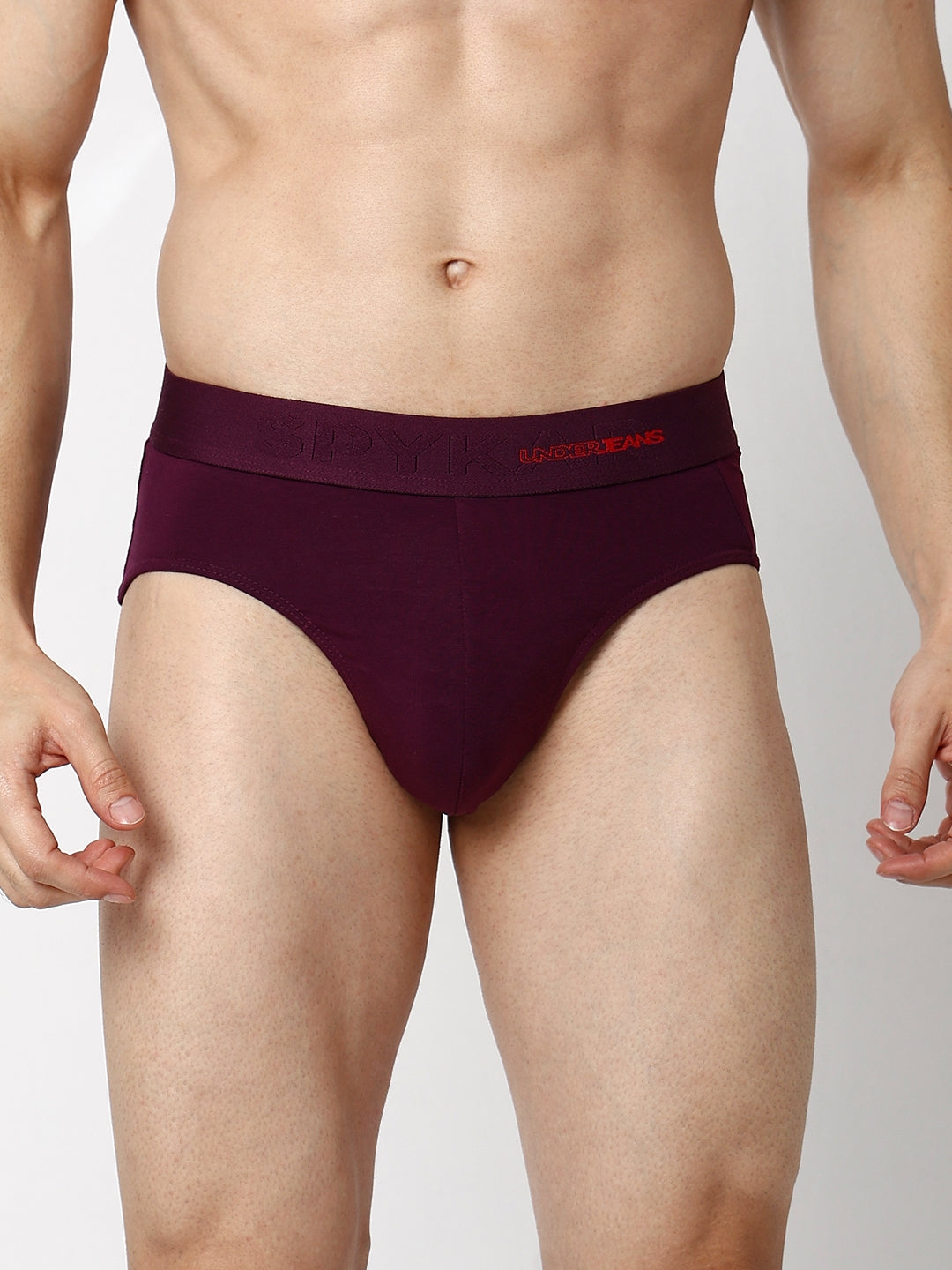 Men Premium Cotton Blend Brief (Pack of 2)- UnderJeans by Spykar