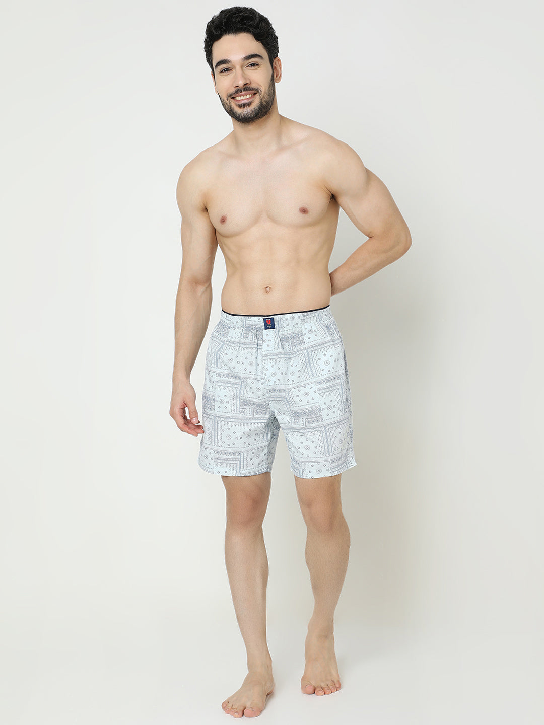 Underjeans by Spykar Men Premium Cotton Light Grey Boxers